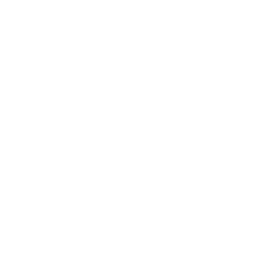 IMS Logo